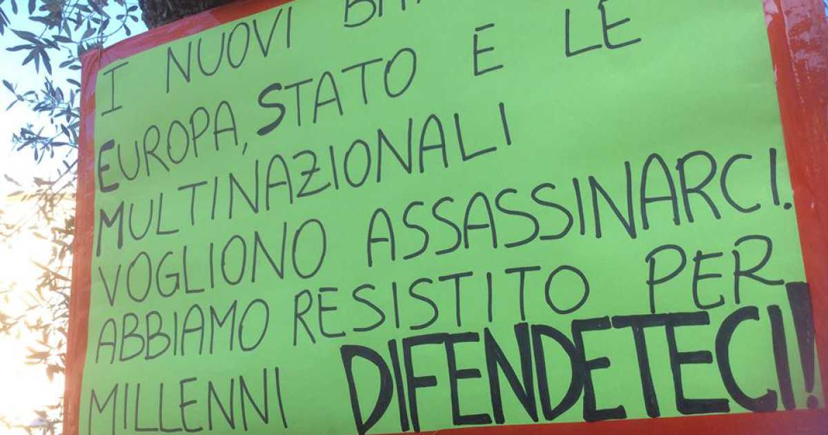 Urla e dubbi: il Salento difende i suoi ulivi da xylella e strane ''ombre''
